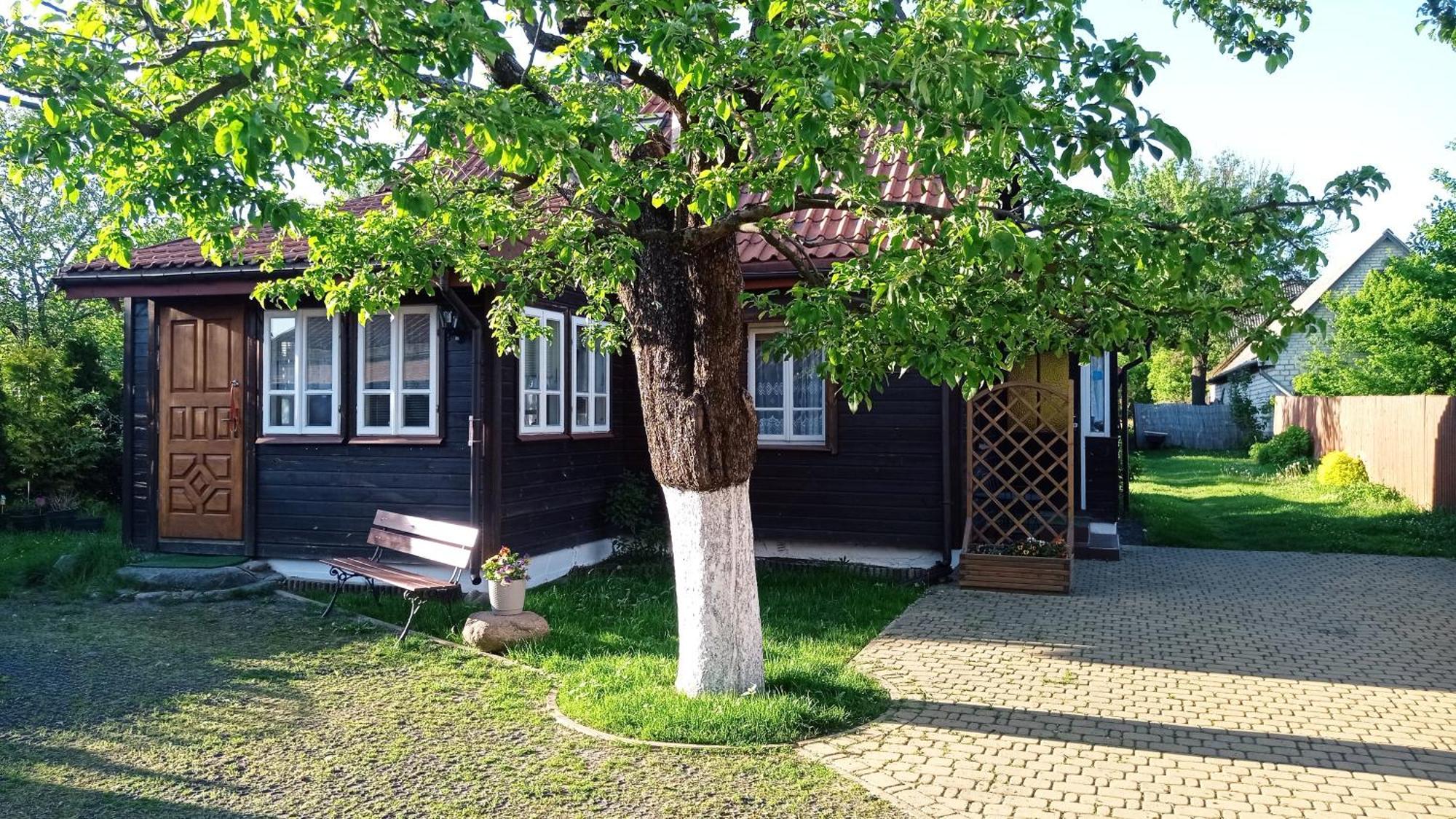 Domek Zapiecek Bialowieza Exterior photo