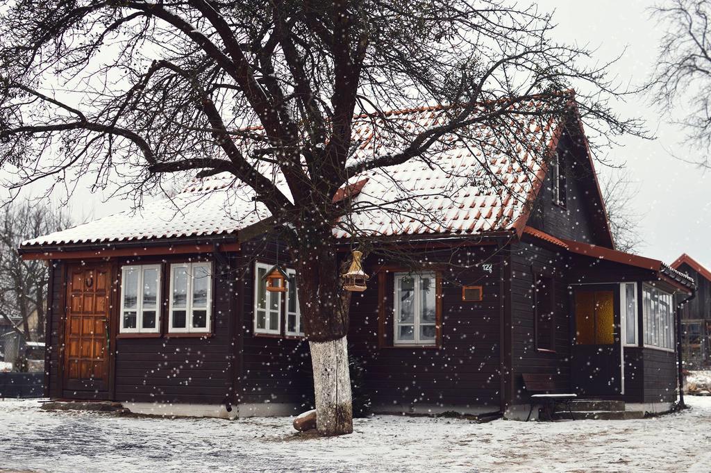 Domek Zapiecek Bialowieza Exterior photo